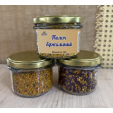 Pyłek pszczeli 100 g TM Jarosław